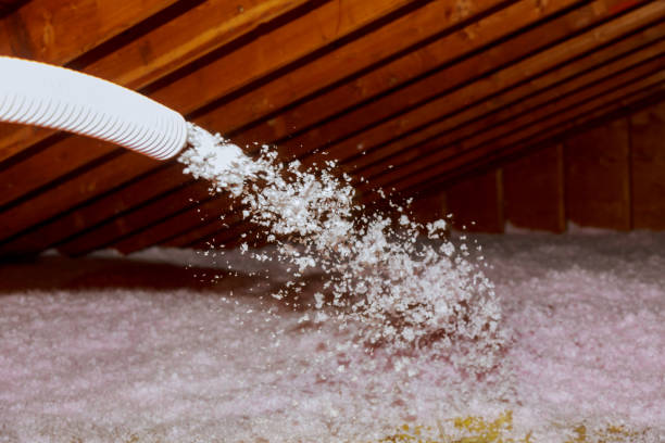 Best Insulation Maintenance and Repair in Alpharetta, GA
