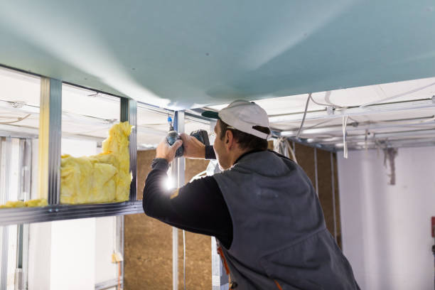 Best DIY Insulation Kits and Guidance in Alpharetta, GA