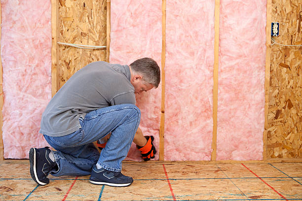 Best Energy Efficiency Insulation in Alpharetta, GA
